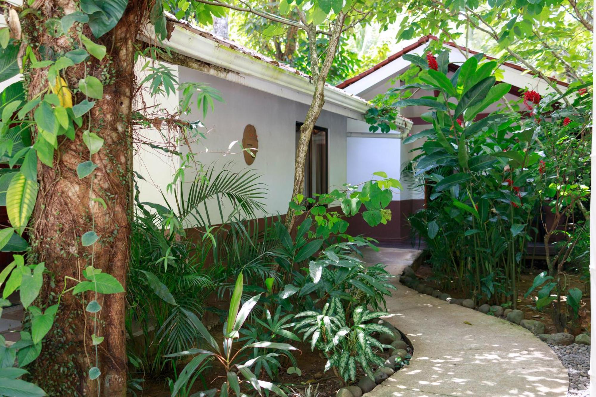 Hotel Bambutel Cocles Puerto Viejo de Talamanca Zewnętrze zdjęcie
